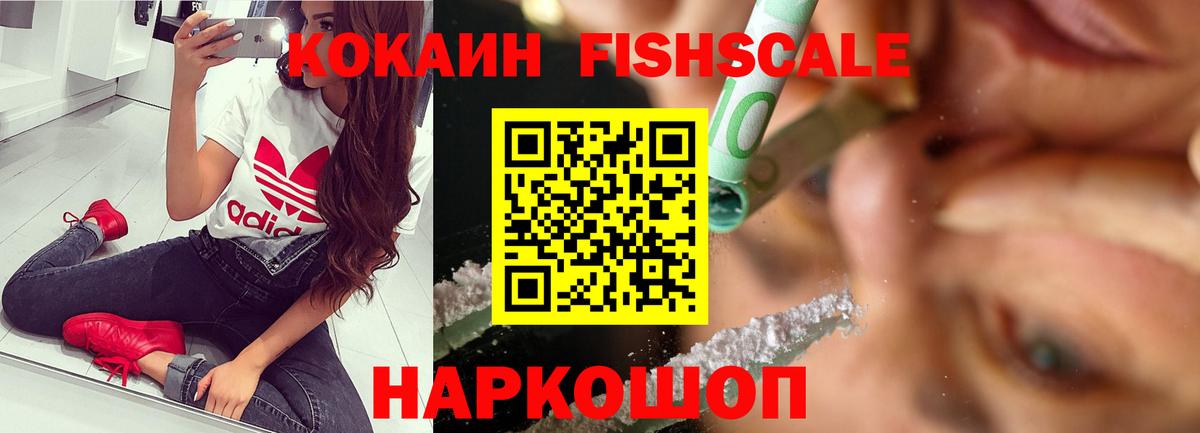 Кокаин FishScale  как найти наркотики  Вход с VPN  Канаш  Cocaine Fish Scale 