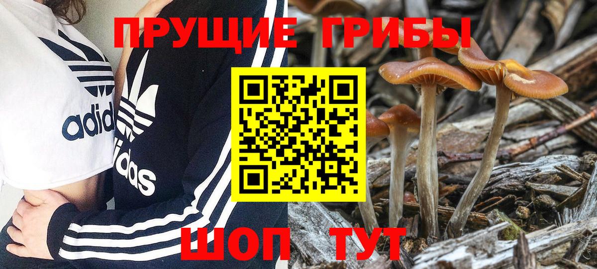 NBOMe  Гашиш  МЕФ кристаллы  Канаш  Вход с VPN  Гашиш  МАРИХУАНА 