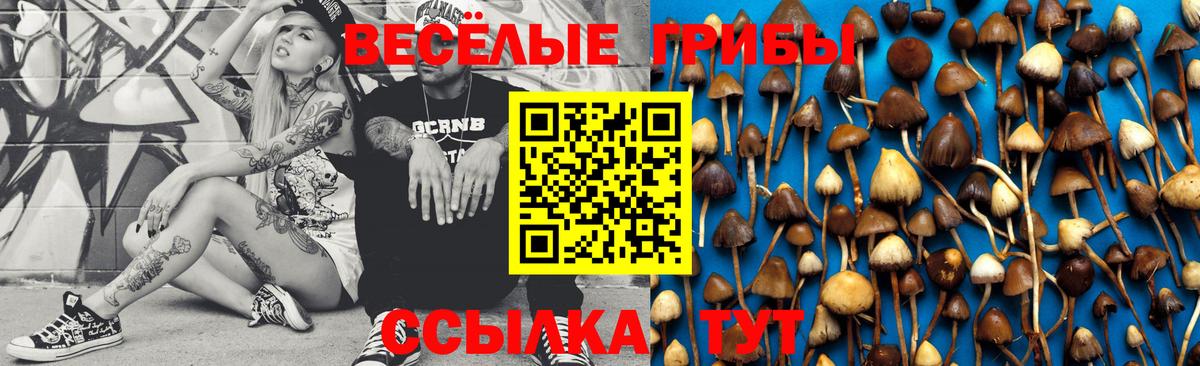 Галлюциногенные грибы мицелий  Вход с VPN  Псилоцибиновые грибы мухоморы  сколько стоит  Канаш 